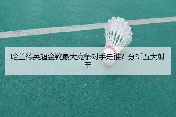 ha-lan-de-ying-chao-jin-xue-zui-da-jing-zheng-dui-shou-shi-shui-fen-xi-wu-da-she-shou-2-109.jpg