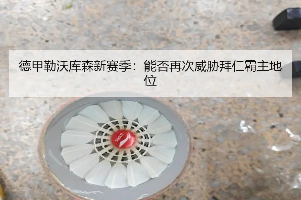 德甲勒沃库森新赛季：能否再次威胁拜仁霸主地位